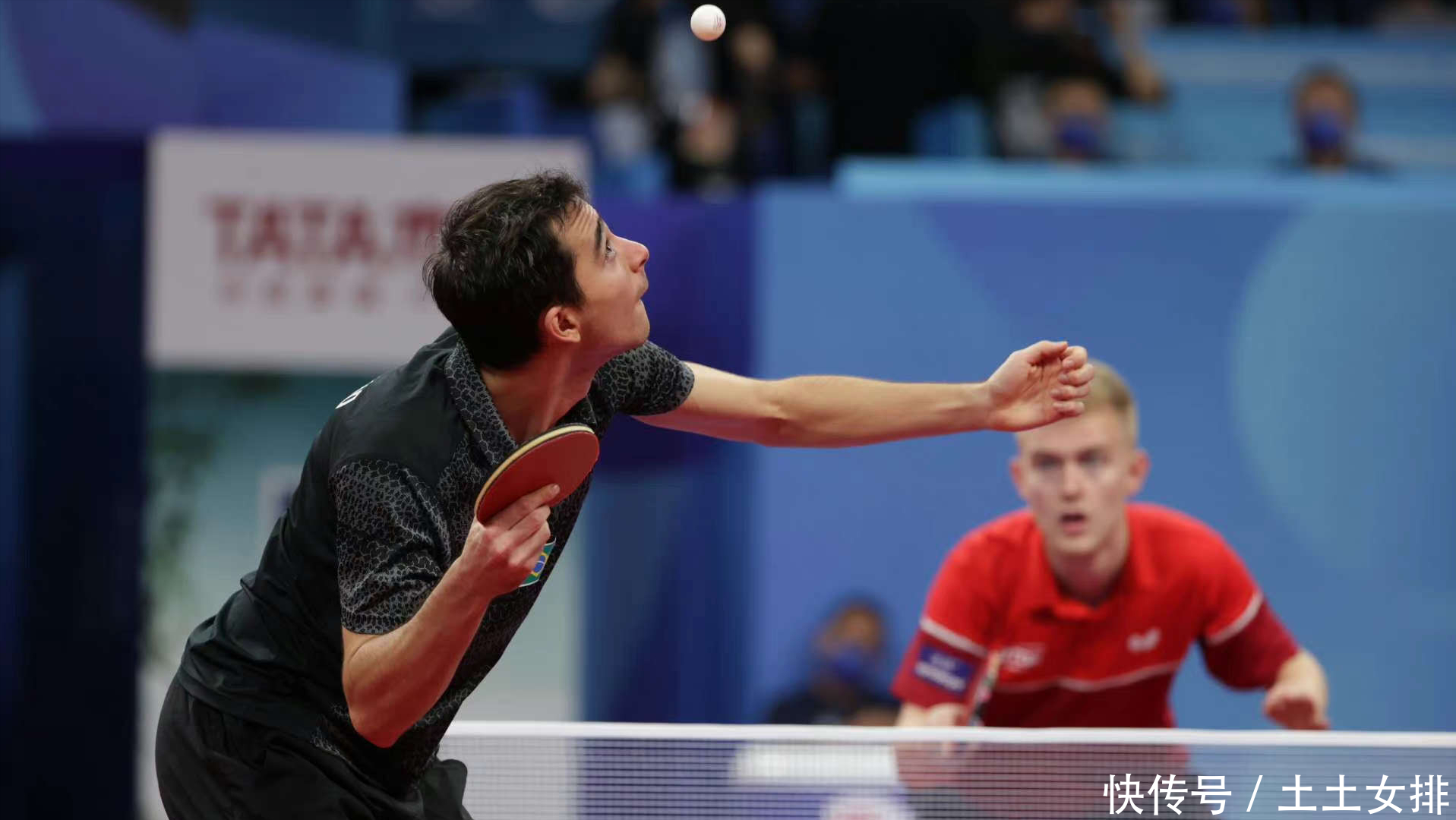 段的多样化 段的多样化