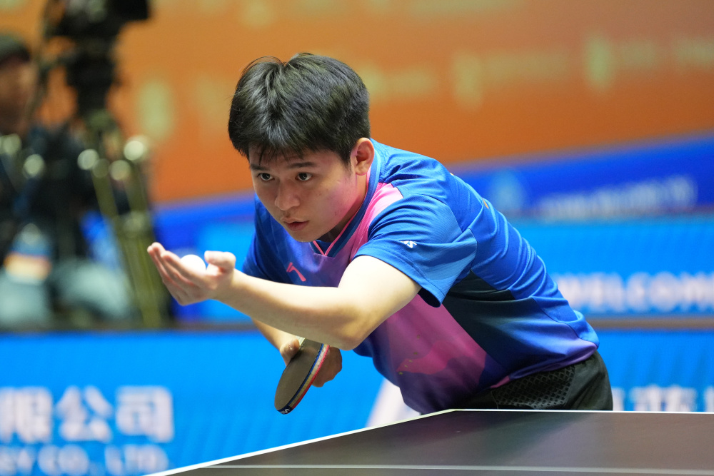 作出的每一 作出的每一