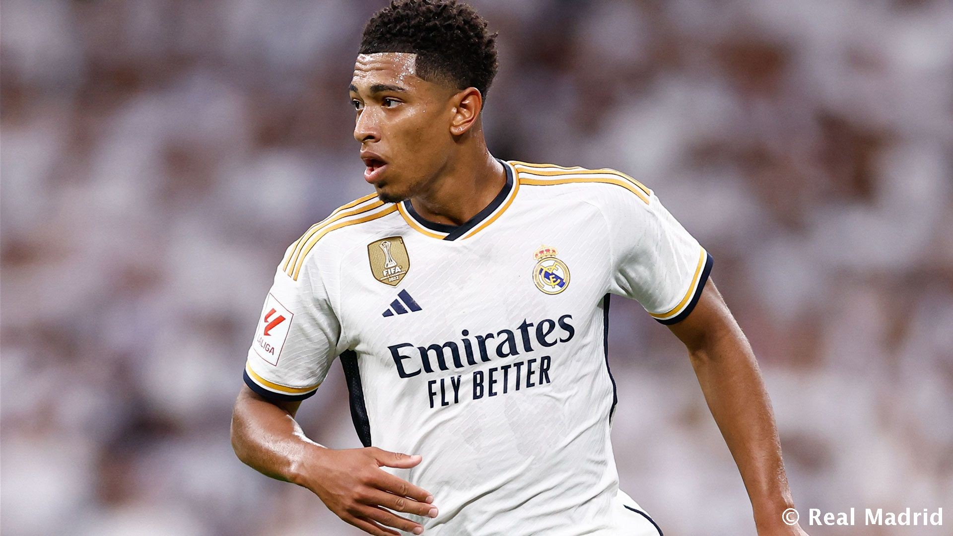 侧翼手递手 侧翼手递手